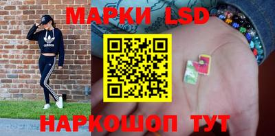 гидропоника Можга