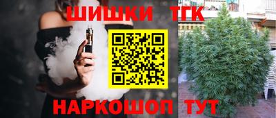 гидропоника Можга