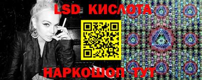 гидропоника Можга