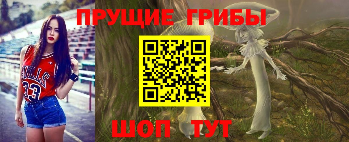 где продают наркотики  Псилоцибиновые грибы Psilocybine cubensis  Вход с VPN  Арсеньев 